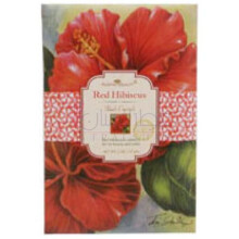 Red Hibiscus-الوها بیوتی رد هیبیسکوس