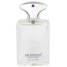 Reflection Eau De Perfum BRANDINI-رفلکشن مردانه برندینی