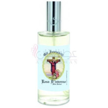 Rosa d'Inverno-هیلد سولیانی رزا د اینورنو