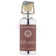 Seplasia – Pure Essence-برونو آکامپورا سپلاسیا پرفیوم اویل