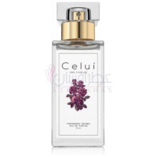 Signature-سلوی سیگنچر