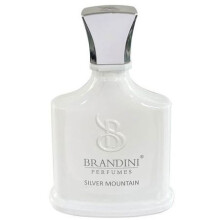 Silver Montain Eau De Perfume BRANDINI-سیلور مونتین مردانه برندینی
