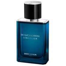 Singulier-بوچرون سینگولیر