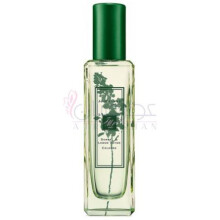 Sorrel & Lemon Thyme-جو مالون سورل اند لمون تایم