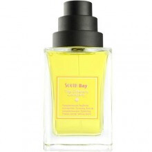 South Bay-دیفرنت کمپانی سوت بی