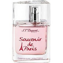 Souvenir De Paris-اس تی دوپونت سوونیر د پاریس