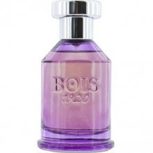 Spigo 1920-بویس 1920 اسپیگو 1920