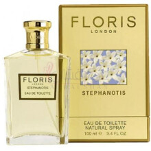 Stephanotis-فلوریس استفانوتیس