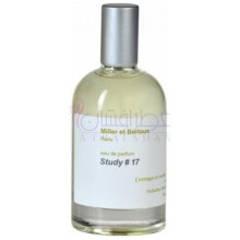 Study No. 17-میلر اِ بِرتو استادی نو 17