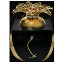 Taariikh Oil-سید جونید الام تاریخ اویل