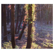 The Gamekeeper-بود پارفومز د گیم کیپر