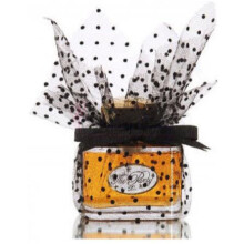 The Party in Paris-د پارتی د پارتی این پاریس