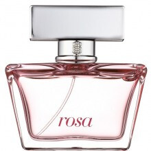 Tous Rosa-توس رزا