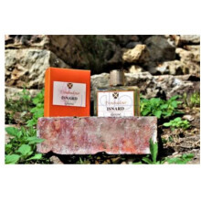 Troubadour-اسنارد تروبادور