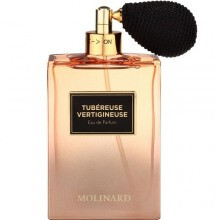 Tubereuse Vertigineuse-مولینارد توبرز ورتیجینوس