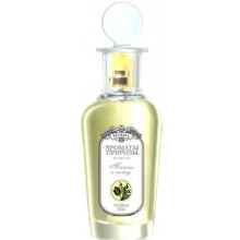 Тюльпан и мимоза - Tulip and Mimosa-بروکارد تولپان آی میموسا