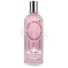 Un Matin Dans La Roseraie-ژان ان پروونس ان متین دنس لا رزرای