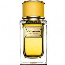 Velvet Ginestra-دولچه گابانا ولوت گینسترا