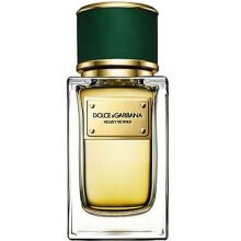 Velvet Vetiver-دولچه گابانا ولوت وتیور