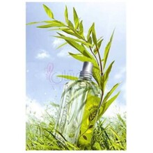 Verbena Sun-لوکسیتان ان پروونس وربنا سان