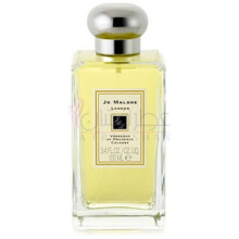 Verbenas of Provence-جو مالون وربناس اف پروونس