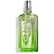 Verveine Cactus-لوکسیتان ان پروونس وروین کاکتوس