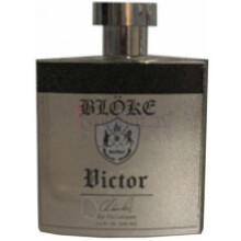 Victor-بلوک ویکتور