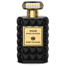 Vigor-اسپریت اف کینگز ویگور