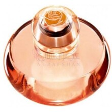 Volare-اوریف لیم وولاری