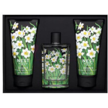 White Narcisse-نست وایت نارسیس