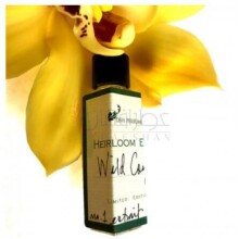 Wild Coyote-دی اس اچ پرفیومز وایلد کویوتی