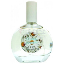 Wild Daisy-پکراوکا تریدینگ هاوس وایلد دیزی