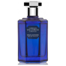 Wild Lavender-لورنزو ویلورسی وایلد لوندر