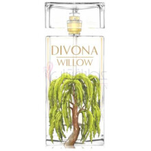 Willow-دیوونا ویلو