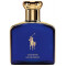 Polo Blue Gold Blend