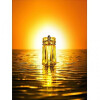 Alien Sunessence EDT Legere-تیری موگلر آلین سان اسنس تویلت لگیر (ماگلر الین سانسنس)
