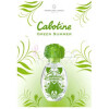 Cabotine Green Summer-گرس کابوتین گرین سامر