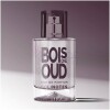 Bois de Oud-سولینوتس بویس دی عود