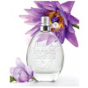 Scent Essence - Blooming Lotus-اوان سنت اسنس بلومینگ لوتوس