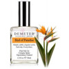Bird of Paradise-دیمتر فرگرنس برد اف پارادایس