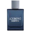 Iceberg Homme 2025-آیس برگ هوم 2025