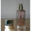 Glam Jasmine-مایکل کورس گلام جاسمین