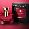 Splendida Magnolia Sensuel-بولگاری اسپلندیدا مگنولیا سنشوال