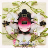 Luminous Orchid-الکساندر مککوئین  لومینوس ارکید