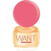 Want Pink Ginger-دسکوارد2 وانت پینک جینجر