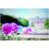 Paris – Paris-شنل پاریس پاریس