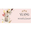 Ylang-راجر اند گالت یلانگ