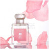 Rose Blush Cologne (2023)-جو مالون رز بلاش کلن 2023