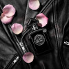 Black Perfecto by La Petite Robe Noire-گرلن بلک پرفکتو بای لا پتیت روب نویر