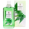 English Fern-برونلی اینگلیش فرن